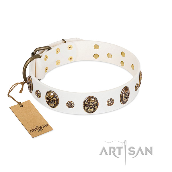 Fine quality natural genuine leather collar for your four-legged friend