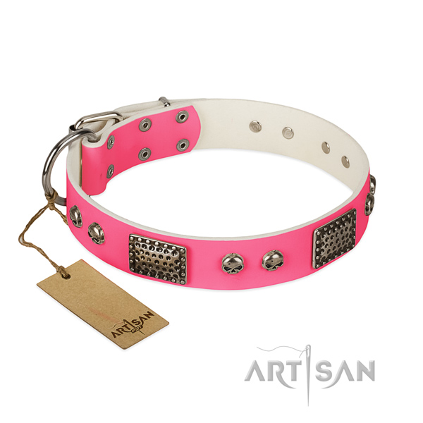 Easy to adjust full grain genuine leather dog collar for daily walking your dog