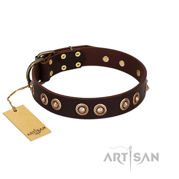 Rust resistant adornments on full grain genuine leather dog collar for your doggie