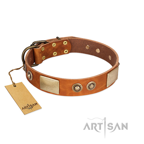 Easy to adjust full grain genuine leather dog collar for everyday walking your four-legged friend