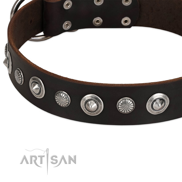 Stylish design studded dog collar of durable full grain natural leather