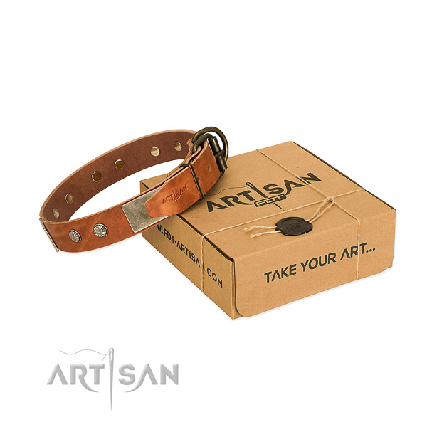 Rust-proof traditional buckle on dog collar for daily use