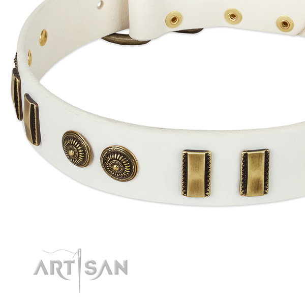 Rust-proof buckle on full grain leather dog collar for your pet