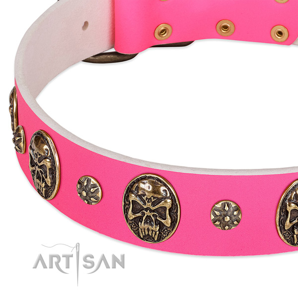 Embellished dog collar handmade for your handsome canine