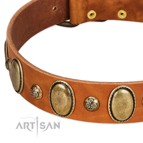 Genuine leather dog collar with unique adornments