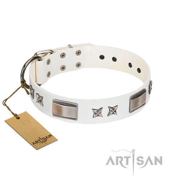 Remarkable dog collar of full grain genuine leather