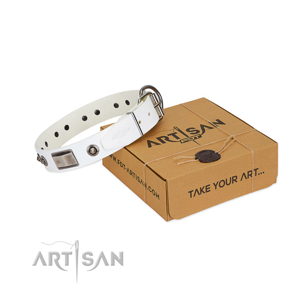 Significant dog collar of full grain natural leather with studs
