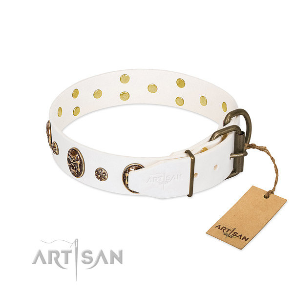 Rust-proof buckle on full grain leather dog collar for your canine