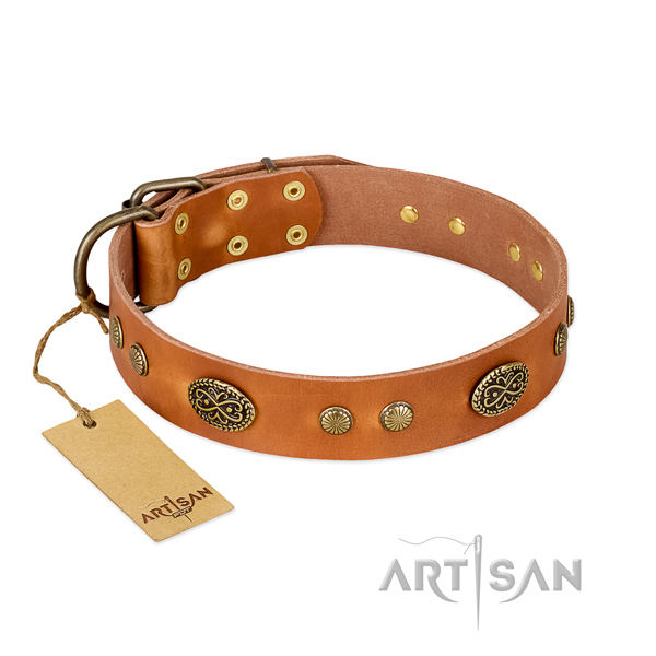 Durable buckle on leather dog collar for your dog
