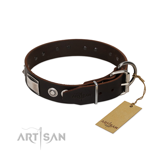 Unusual collar of full grain leather for your dog
