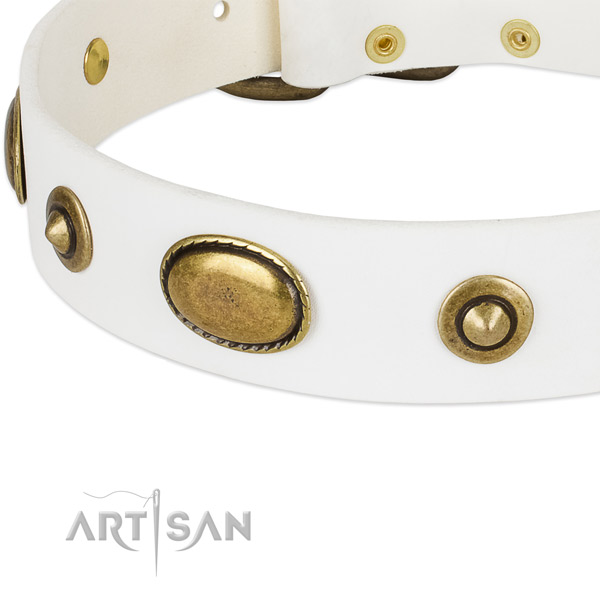 Corrosion proof buckle on natural leather dog collar for your pet