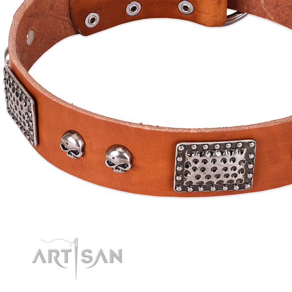 Reliable hardware on genuine leather dog collar for your dog