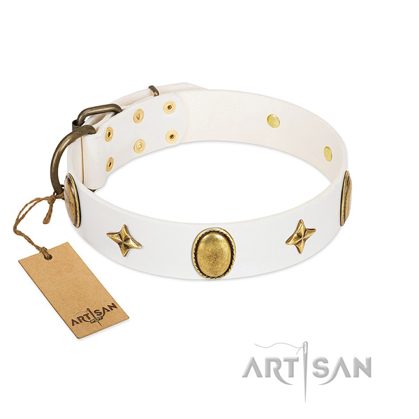 Best quality leather collar with top notch studs for your dog