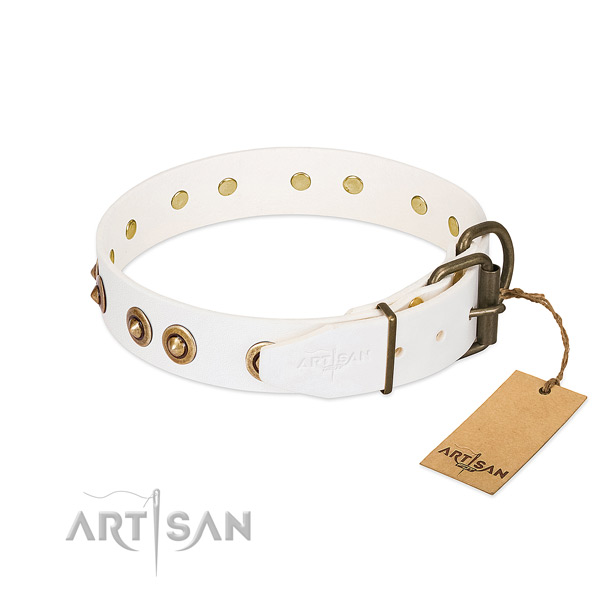 Corrosion proof fittings on full grain leather dog collar for your four-legged friend