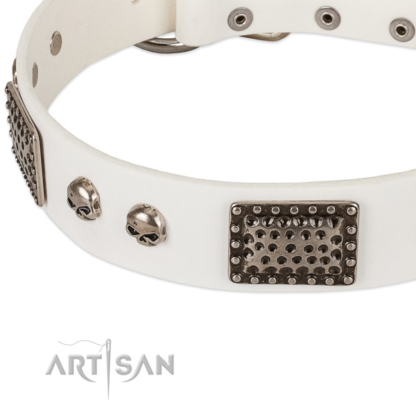 Corrosion resistant adornments on natural genuine leather dog collar for your canine