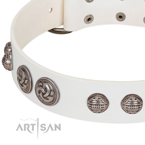 Durable D-ring on leather collar for everyday walking your four-legged friend