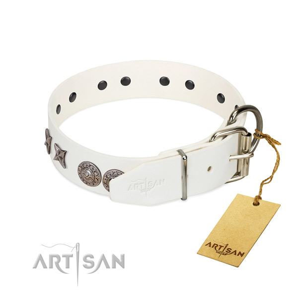 Daily use best quality leather dog collar with adornments