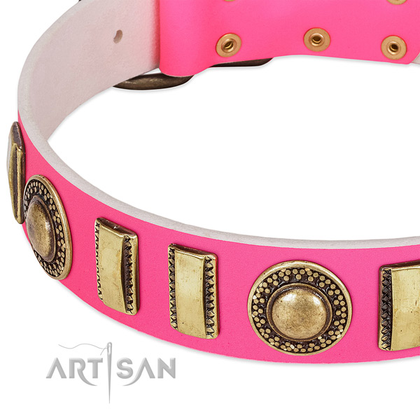 Durable leather dog collar for your stylish canine