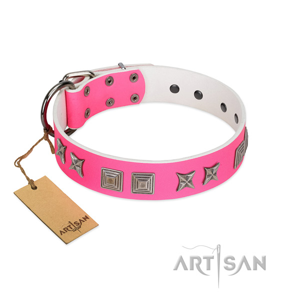 Full grain leather dog collar with exquisite embellishments handcrafted pet