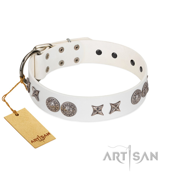 Natural leather collar with exceptional decorations for your four-legged friend