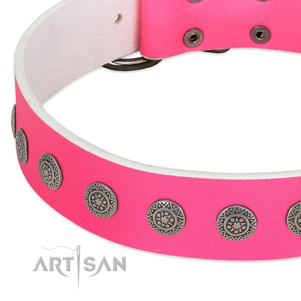 Remarkable genuine leather collar with adornments for your canine