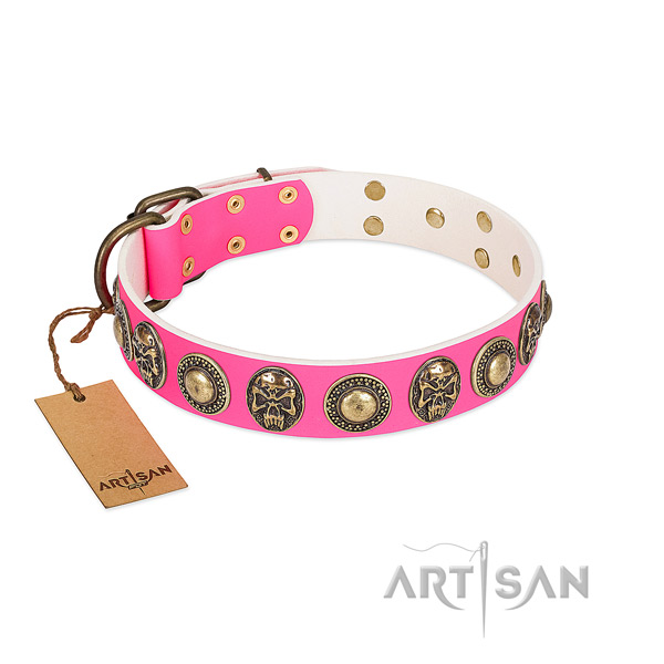 Adjustable genuine leather dog collar for daily walking your canine