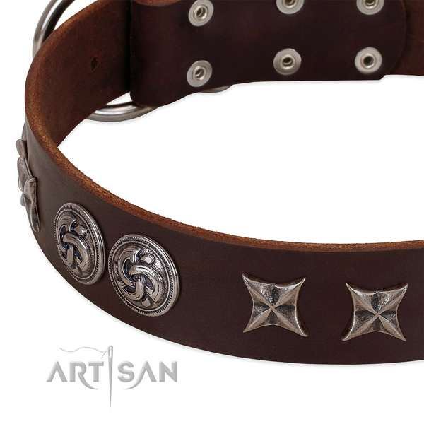 Full grain natural leather collar with stylish studs for your doggie