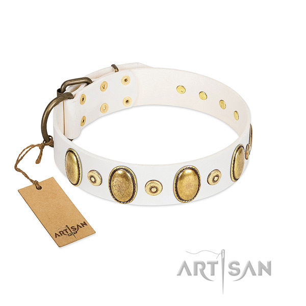 Best quality full grain natural leather collar made for your four-legged friend