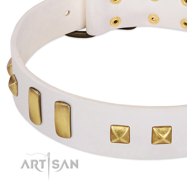 Soft full grain genuine leather dog collar with adornments for walking