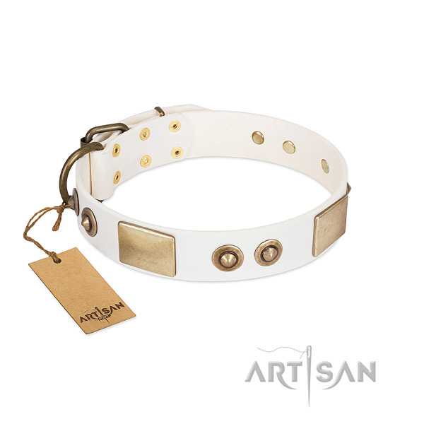 Corrosion proof buckle on natural genuine leather dog collar for your dog
