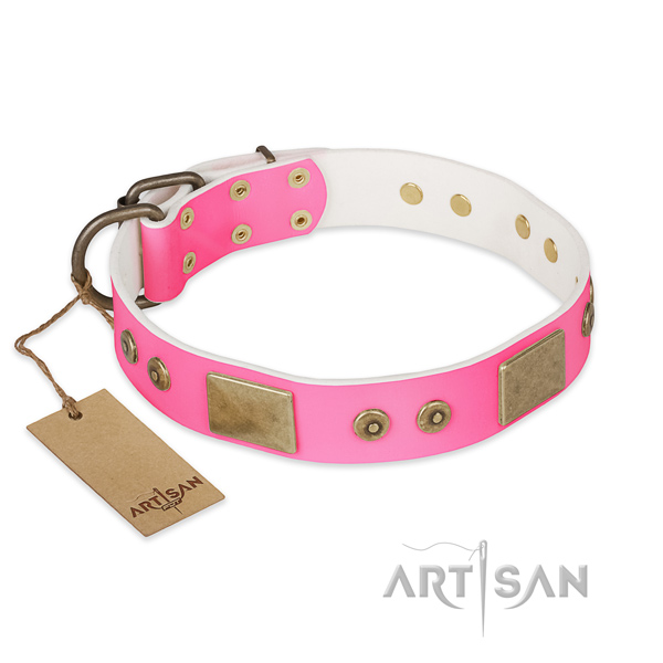 Top notch full grain genuine leather dog collar for stylish walking
