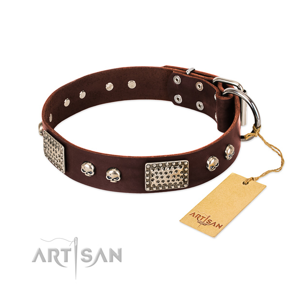 Easy to adjust full grain natural leather dog collar for daily walking your dog