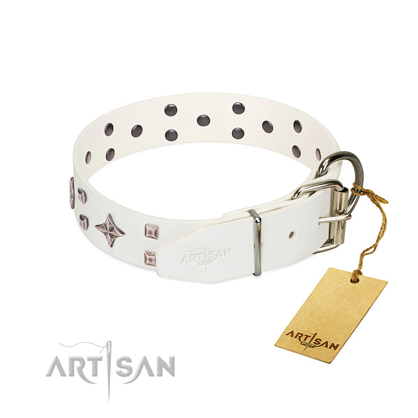 Significant leather collar for your pet walking