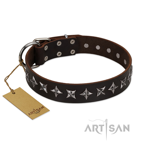 Everyday use dog collar of top quality leather with embellishments