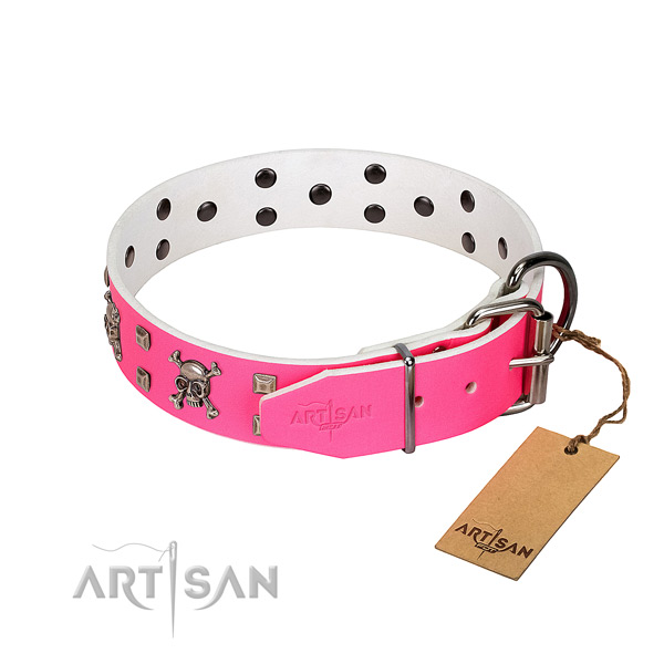 Durable studs on leather dog collar