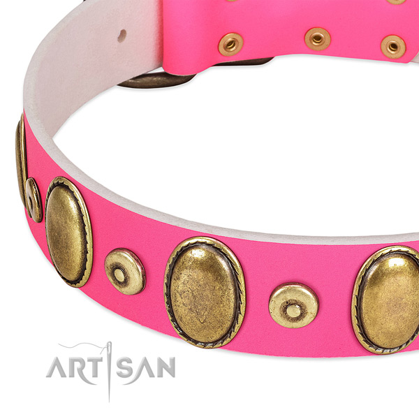 Gentle to touch full grain genuine leather collar with corrosion proof embellishments for your doggie
