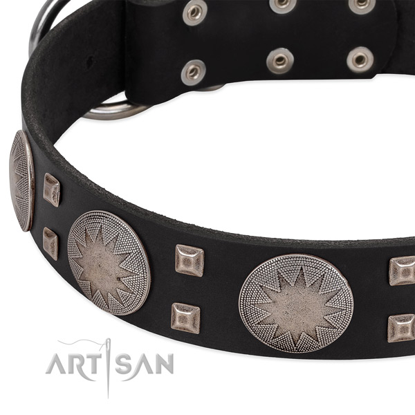 Top notch genuine leather dog collar with rust resistant traditional buckle