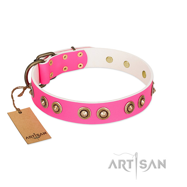 Extraordinary natural genuine leather dog collar for fancy walking