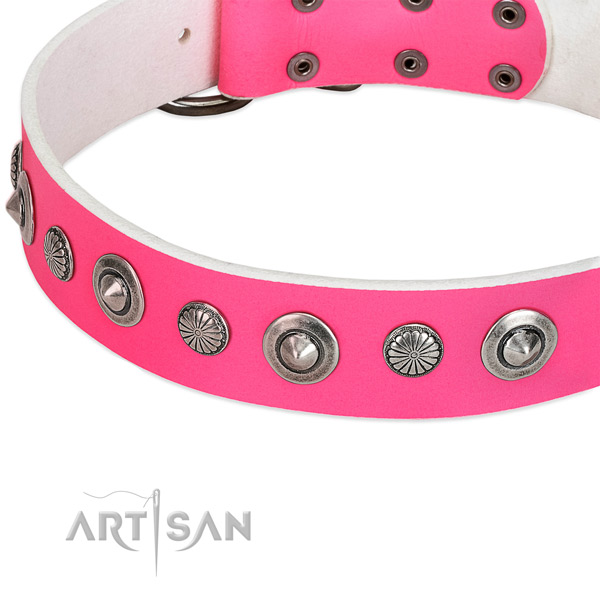 Full grain genuine leather collar with rust resistant traditional buckle for your beautiful dog