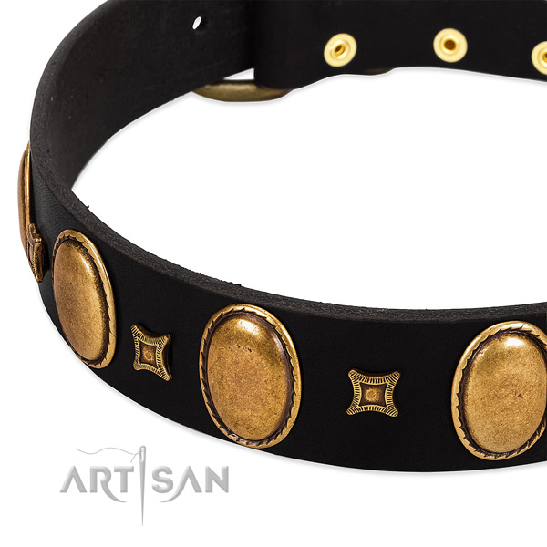 Full grain leather dog collar with embellishments for comfy wearing
