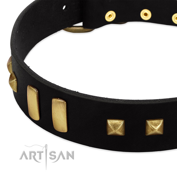 Soft full grain genuine leather dog collar with studs for stylish walking