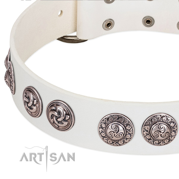 Extraordinary full grain leather dog collar for walking