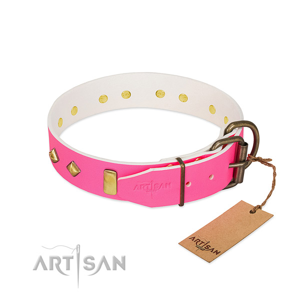 Full grain natural leather dog collar with rust-proof hardware for comfortable wearing