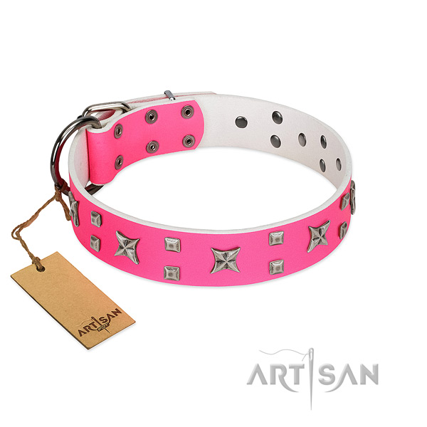 Incredible genuine leather collar for your four-legged friend walking