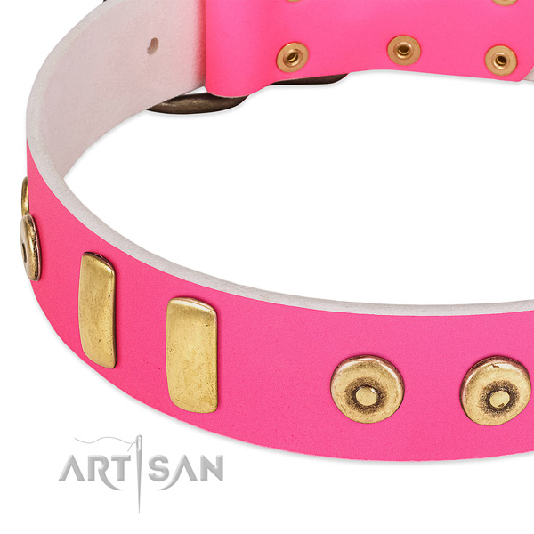 Top rate natural leather dog collar with top notch embellishments