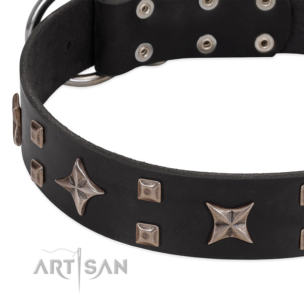 Corrosion proof traditional buckle on genuine leather collar for fancy walking your pet