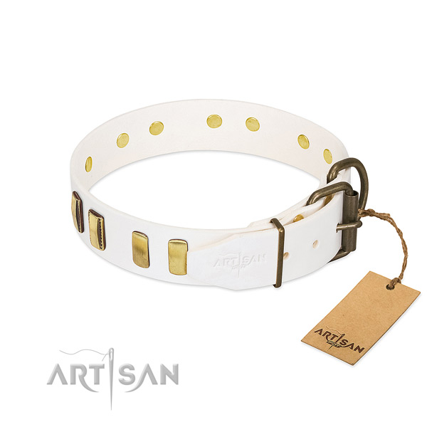 Best quality full grain natural leather dog collar with strong traditional buckle