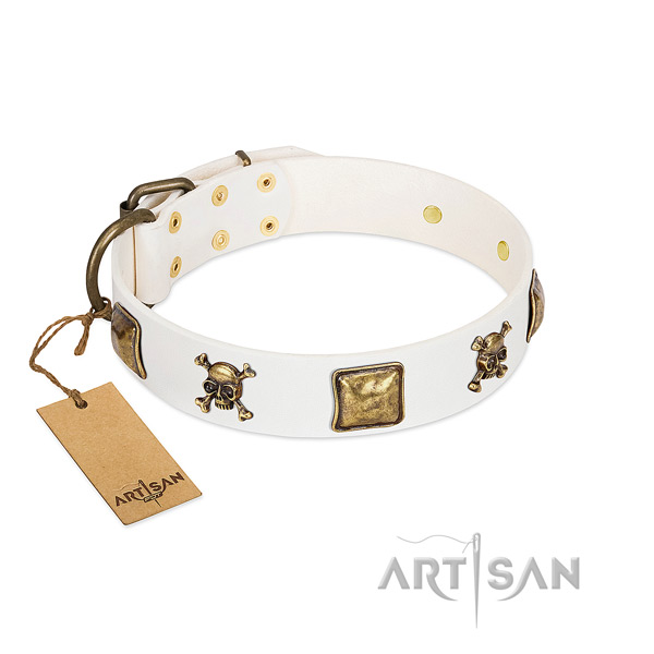 Inimitable leather dog collar with durable studs