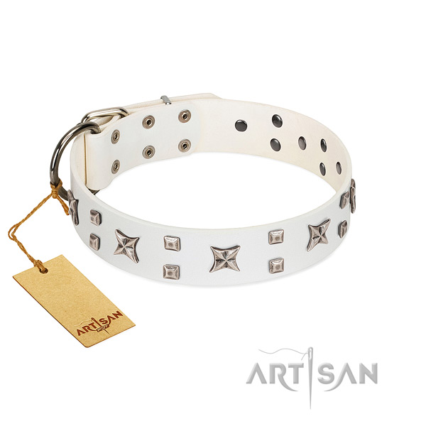 Quality full grain natural leather dog collar with adornments for easy wearing