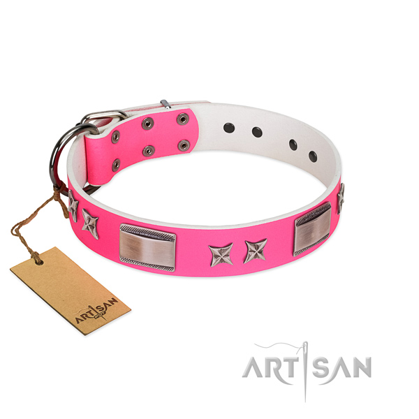 Awesome collar of full grain natural leather for your stylish dog